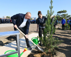 Президент Азербайджана Ильхам Алиев и Первая леди Мехрибан Алиева приняли участие в акции по посадке деревьев в Шамахинском районе