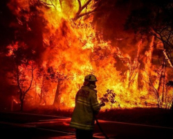 Пожары в Австралии усилились, готовится эвакуация